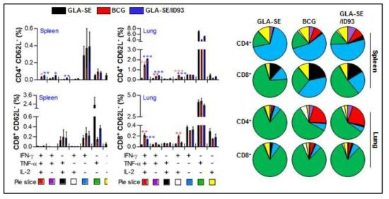 감염 후에도 지속되는 항원 특이적인 multifunctional T cell