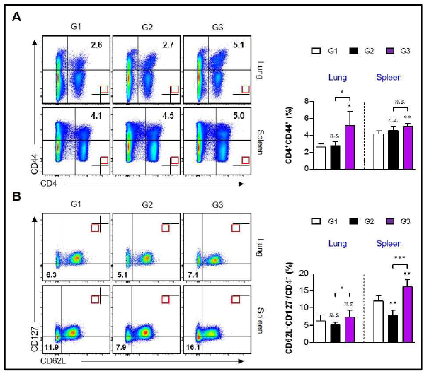 CD4 T 세포의 활성 분석