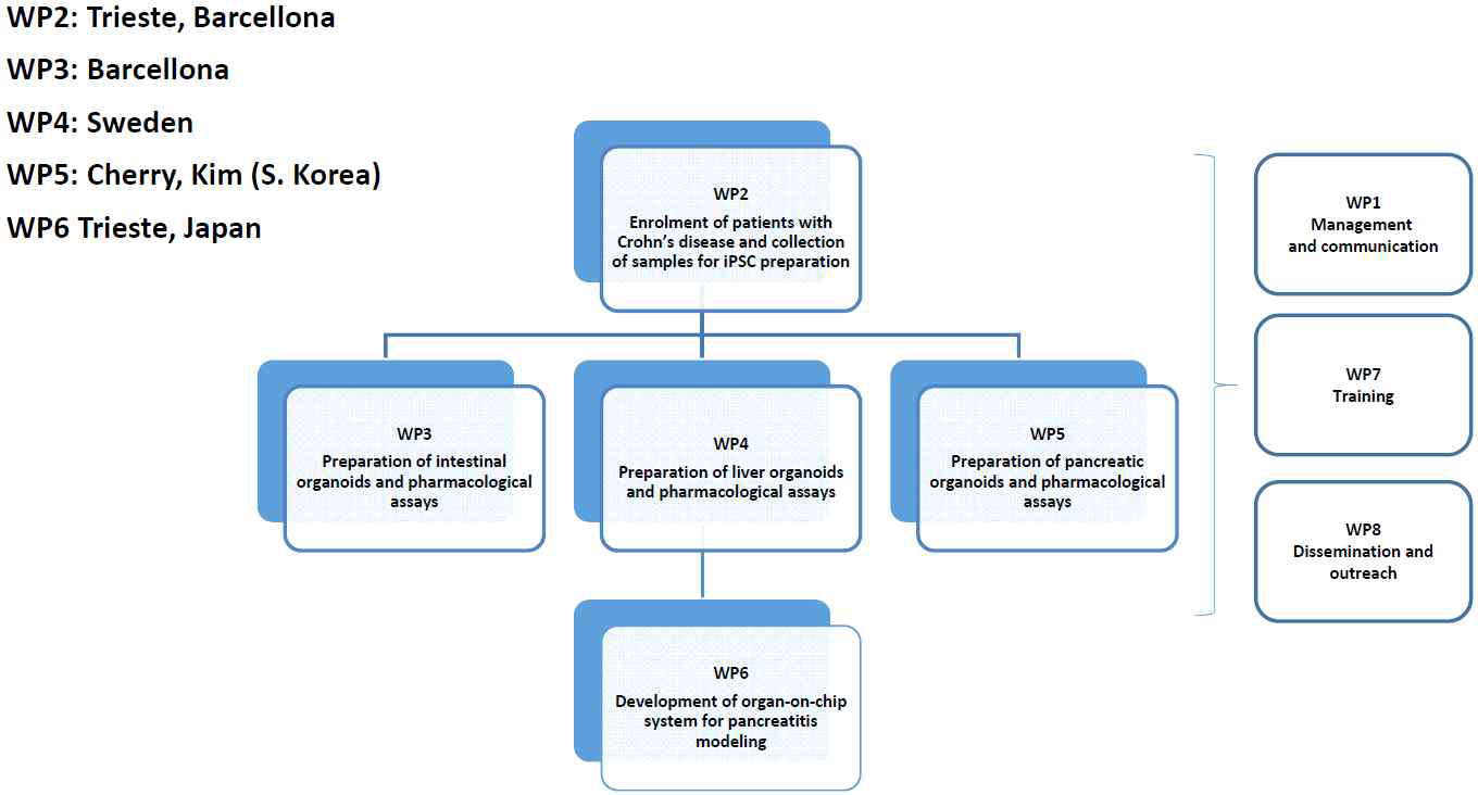 Proposed organization for 2019 MSCA-ITN proposal