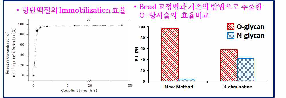 Beads 고정화 방법을 사용하여 O-당사슬을 분리분석한 결과