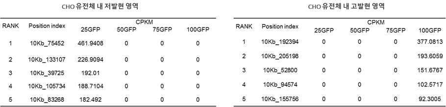 CHO 유전체 내 최우선순위의 저발현 영역과 고발현 영역