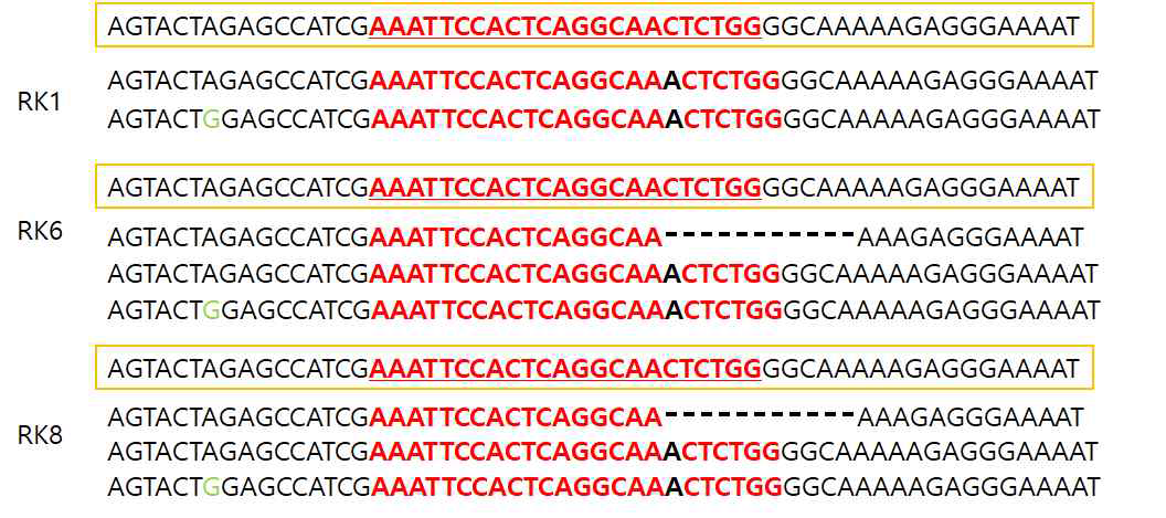 최종 선별된 GS knockout 클론의 GS 유전자(target site) sequencing 결과