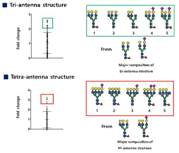 polyLacNAc 생합성저해에 따른 안테나 구조별 변화량 분포