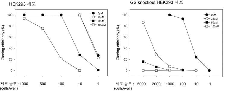 HEK293 세포 및 GS knockout HEK293 세포에서의 MSX에 따른 cloning efficiency 비교