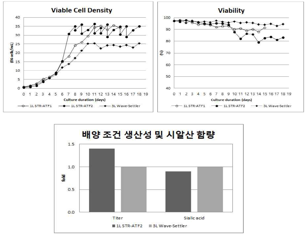 세포 성장 및 생산성 상향 배양 조건 확립