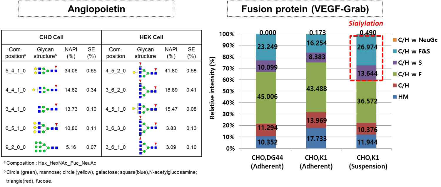 세포주 및 세포 배양방식에 따른 당사슬화 차이