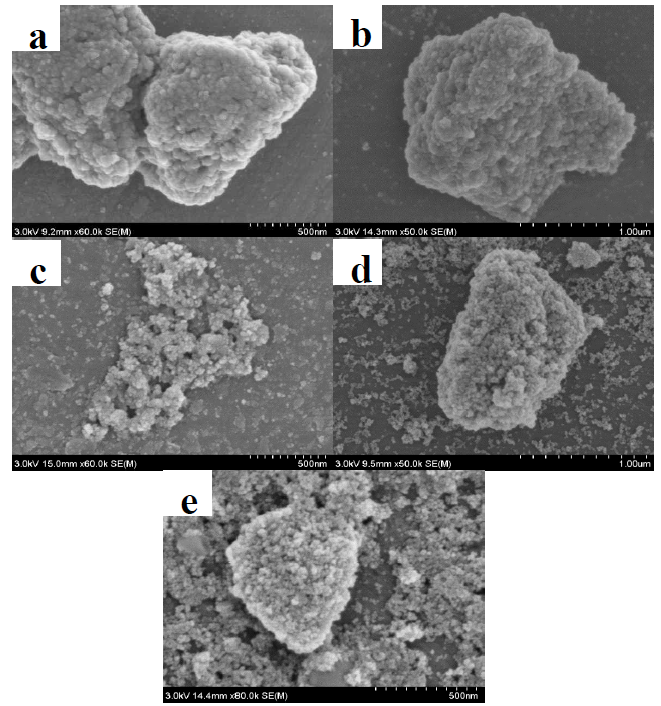 SEM 이미지; (a) ZnO, (b) AZO (Al/Zn = 1%), (c) AZO (Al/Zn = 2%), (d) AZO (Al/Zn = 5%), and (e) AZO (Al/Zn = 10%)