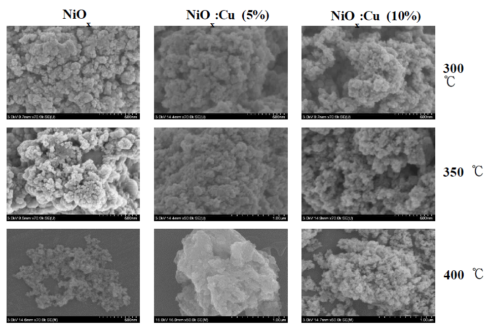 300 ℃, 350 ℃, 그리고 400 ℃에서 열처리한 순수 NiO와 Cu가 도핑된 NiOx 나노입자의 SEM 이미지