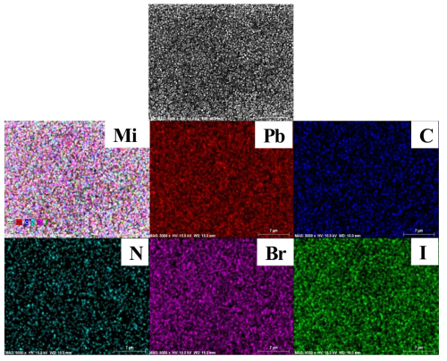 CH3NH3Br의 농도가 10 mg/mL일 때 제조된 페로브스카이트 물질의 EDS 원소 맵핑