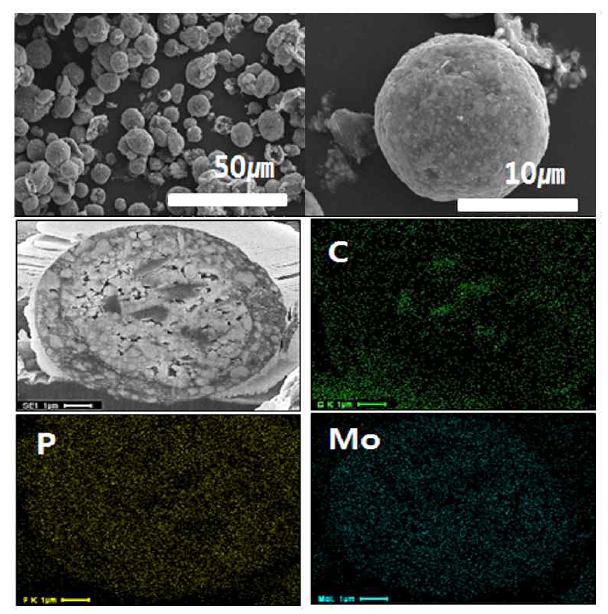 MoP+MoP2 / 미세흑연 / 탄소복합입자형상및단면 SEM이미지및 EDS 분석결과