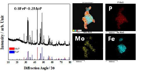 Hydronitrogenation 공정을 적용하여 합성된 FeP-MoP 복합상 분말에 대한 X-ray 회절 패턴 및 미세구조 (TEM image)