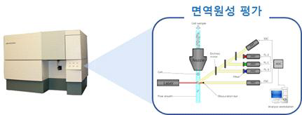 FACS assay를 통해 글리칸 변이 EPO와 aranesp 안전성 비교 평가