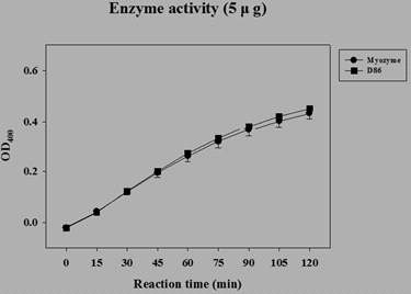 마우스 쿠퍼세포에서 D86와 Myozyme®의 활성 유지 비교 연구