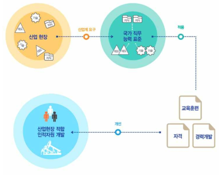 국가직무능력표준 개념도