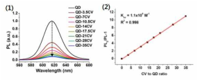 양자점 대비 CV 양에 따른 형광 변화 그래프 (1) 및 Stern-Volmer plotting 그래프