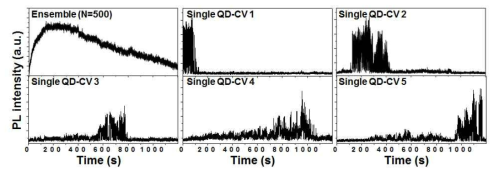 Ensemble 및 단일 입자 양자점-CV 복합체의 꺼짐/켜짐/꺼짐 주기에 따른 형광 그래프