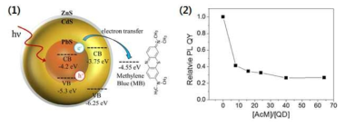 양자점-메틸렌 블루의 에너지 준위 (1) 와 양자점 대비 AcM양에 따른 상대적인 양자점 형광 변화 plotting 그래프 (2)