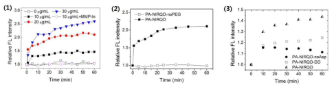 첨가하는 MMP-2 효소 양 및 시간에 따른 양자점-AcM 복합체의 형광 변화 plotting 그래프 (1). AcM 분자체의 PEG (2), poly aspartic acid 시퀀스 (3) 유무에 따른 양자점-AcM 복합체/MMP-2 의 형광 변화 plotting 그래프