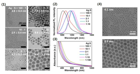 은전구체와 황전구체의 비에 따른 Ag2S 양자점의 투과전자현미경 사진 (1), 흡광 (2), 형광 (3) 그래프. dodecanethiol 리간드로 치환된 4.1 nm, 8.8 nm Ag2S 양자점의 투과전자현미경 사진 (4)