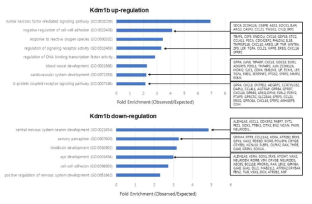 Kdm1b 전사체 분석 결과