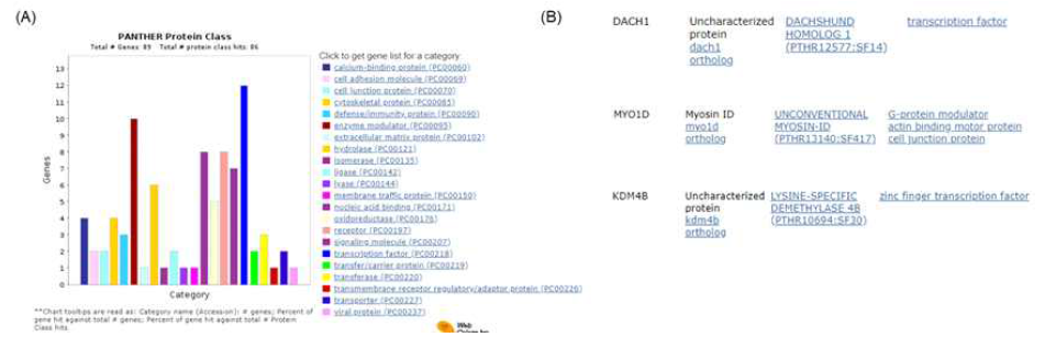 Kdm3A의 ChIp-seq 결과