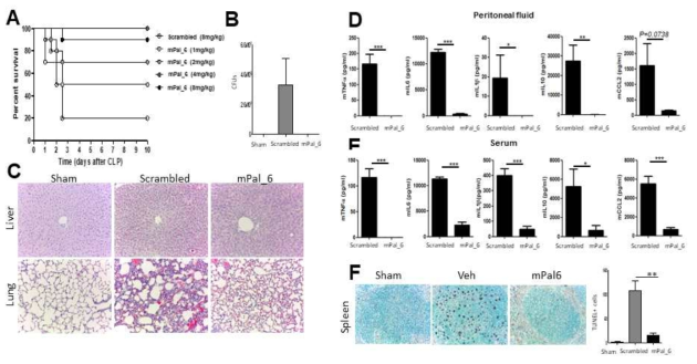 신규 pepducin mPal_6에 의한 패혈증 치료 효과