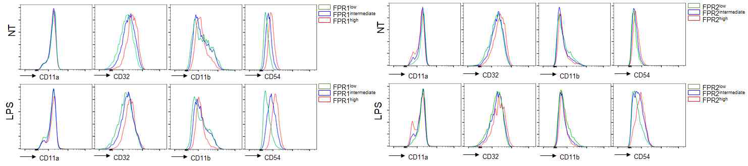FPR 발현에 기반한 호중구 아형간 세포 표면 항원 발현 양상 비교