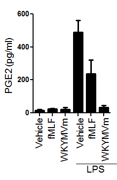 FPR+ 호중구에서 FPR 자극에 의한 PGE2 생성 조절