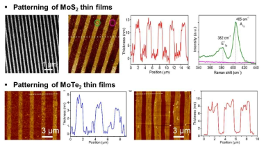 합성된 MoS2, MoTe2 패턴의 두께 및 물성 평가