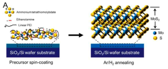 고분자-전구체 박막 형성 및 열처리에 의한 MoS2 변환 과정 도식