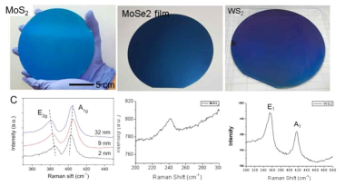 대면적 기판 상에 합성된 MoS2, MoSe2, WS2 필름과 Raman spectroscopy 결과