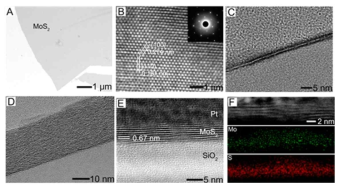 (A) 합성된 MoS2 박막 (9 nm)의 TEM 이미지 (B) HR-TEM 이미지 및 결정성에 따른 회절 패턴 이미지. (C, D 및 E) 서로 다른 두께의 MoS2 박막의 cross section 이미지. (F) STEM-HAADF 이미지 및 원소 분석을 통한 Mo, S 분포 이미지