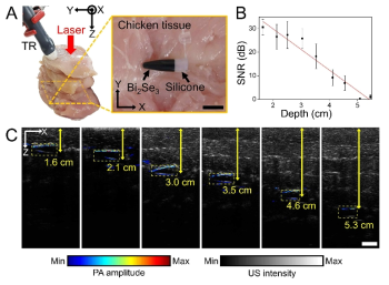 Bi2Se3 분산액의 in-vitro photoacoustic 이미지