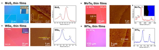 Microwave를 이용하여 합성된 MoS2, WSe2, MoTe2, WTe2