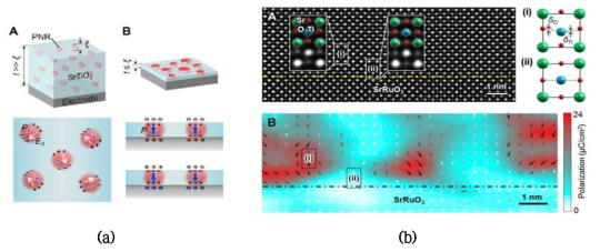 (a) 실험 디자인을 위해 고안된 모식도. 초박막화를 통해 분극 배열을 예상할 수 있음. (b) Annular Bright Field(ABF) STEM 이미징 및 원자구조 해석을 통해서 분극이 없는 SrTiO3 내에서 관찰된 polar nanoregion
