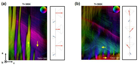 (a) 상온(T= 350 K)에서의 자기 도메인 구조와 (b) 500 K 온도 조건에서의 자기 구조. 상온에서 ab plane에 놓여있던 자화용이축이 온도가 상승함에 따라 500 K 부근에서 c 축으로 전함