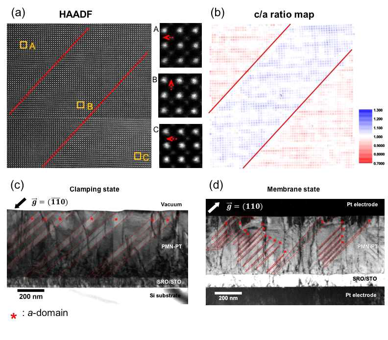 (a) a-domain과 c-domain 경계에서의 HAADF-STEM 이미지 (b) c/a ratio map (c) Clamping state의 TEM 명시야상 이미지 (d) Membrane state의 TEM 명시야상 이미지