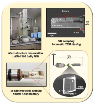 실시간 강유전 domain 변화의 관찰을 위한 in-situ biasing TEM 시스템 요약도