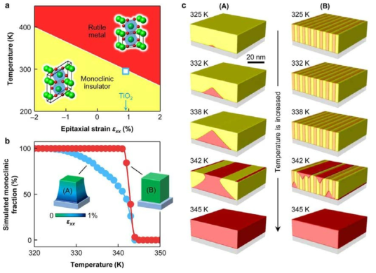 에피택셜 VO2에서의 이론적인 상전이 예상. (a) 계산된 변형과 온도에 따른 (001)VO2 박막의 상전이 도표. 파란 네모는 (001)TiO2에 coherent한 VO2 박막에서의 관찰된 MIT. (b) 시뮬레이션을 통해 얻은 온도에 따른 monoclinic 구조의 비율 변화 양상. (c) 위상 필드 시뮬레이션을 통해 (A)와 (B)의 조건에 따라 달라지는 각 온도에서의 상전이 양상 비교