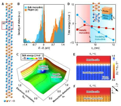 Emergence of stable metallic monoclinic VO2 phase. (A) The rutile/monoclinic heterostructure used in the DFT calculation. We adopt two different colors for V atoms, i.e., orange for rutile VO2 and blue for monoclinic VO2. (b) The calculated density of states of the local monoclinic region [denoted by (a) in (A)] in the rutile/monoclinic heterostructure. The density of states of bulk monoclinic VO2 is also shown as a reference. (C) Free energy landscape of bulk VO2 at 287 K, just below the transition temperature. (D) Total energies as a function of tm in the rutile/monoclinic heterostructure. (E), (F) Stable states of the rutile/monoclinic heterostructure for tm>tc (E) and tm<tc (F). The arrows represent the two-component order parameter (ηS, ηEC), and the color represents the norm (ηS2+ηEC2)0.5