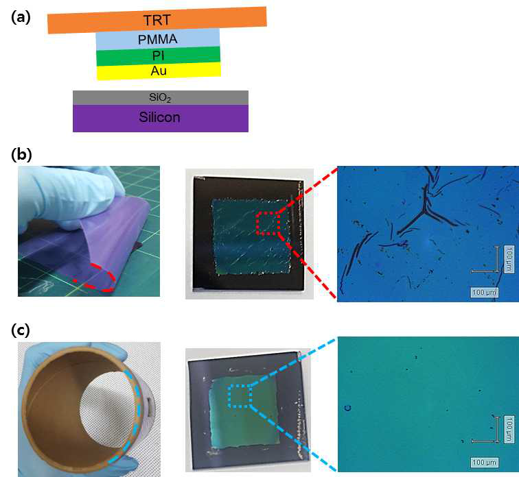(a) Au 필름 희생층 모식도 (cross section), (b) 높은 곡률에 의한 PI 기판 손상 이미지 (c) 낮은 곡률에 의한 감소된 PI 기판 손상 이미지