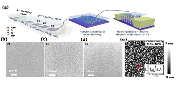 (a) MoS2 나노 입자의 합성 및 BP 소자에 도핑하기까지의 모식도. (b) - (d) MoS2 나노 입자의 합성 위치에 따른 밀집도 차이 (e) MoS2 나노입자의 두께