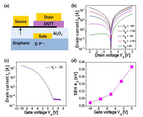 (a) Graphene-DNTT 접합을 이용한 barristor 소자 구조 (b) DNTT barristor의 Id-Vd (c) DNTT barristor의 Id-Vg (d) Graphene-DNTT 접합의 Schottky barrier height 추출