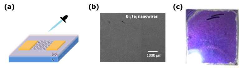 (a) GFET의 채널 위에 Bi2Te3 나노와이어를 drop casting을 한 모식도, (b) Bi2Te3 나노와이어를 기판에 draop casting 방법으로 도포한 후 SEM 이미지, (c) Bi2Te3 나노와이어를 도포후 optic image