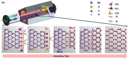 메탄-수소 어닐링을 통해 Mo2C/MoS2 lateral hybrid 구조 구현 모식도