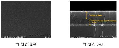 Ti-DLC의 표면 및 단면 SEM 이미지