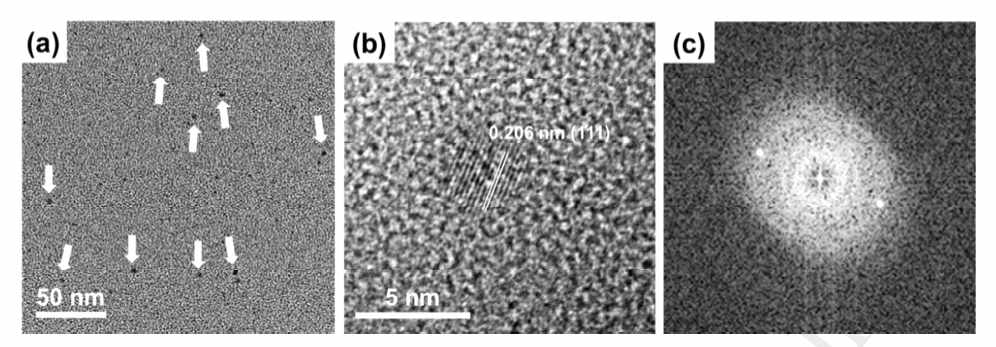 포집된 나노입자의 HRTEM 이미지 (a: grid 전체, b: 확대하여 격자간격 확인, c: X선-회절 이미지)