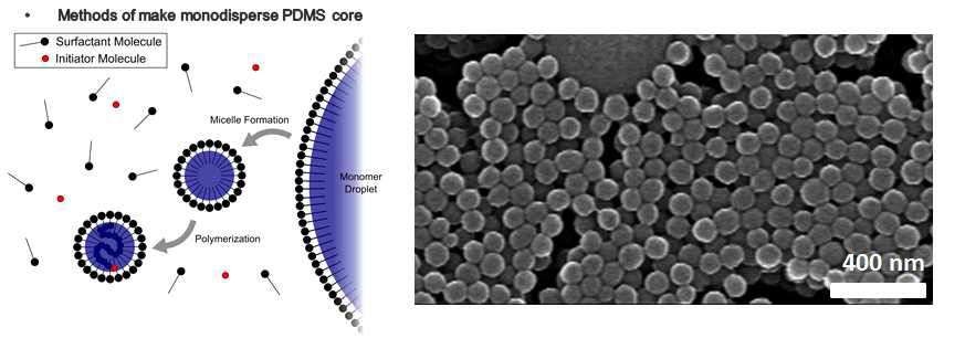 Emulsion polymerization을 통한 PDMS 나노 입자 합성