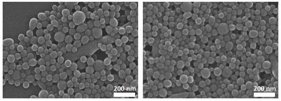 SEM image ( 40~50 nm size )