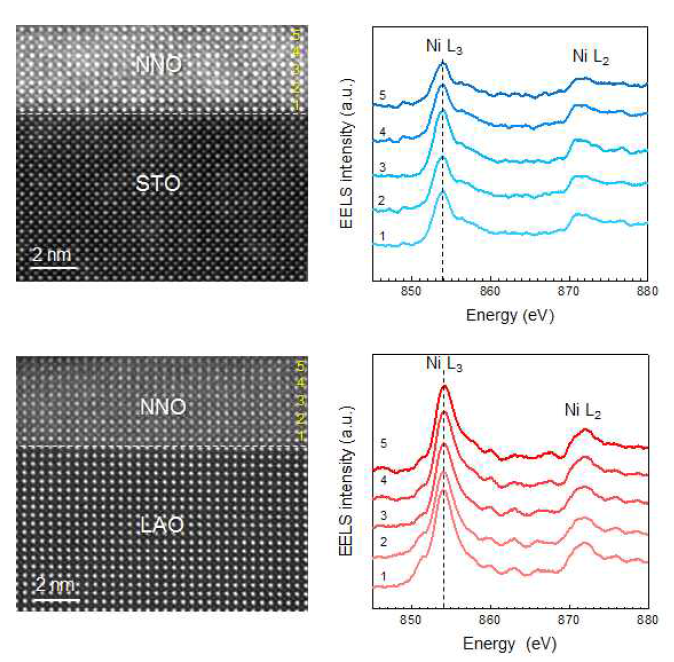 (위) NNO/STO 이종접합 구조의 HAADF-STEM 이미지와 해당영역의 NdNiO3 박막 위치에 따른 EELS 분석 결과. (아래) NNO/LAO 이종접합 구조의 HAADF-STEM 이미지와 EELS 분석 결과